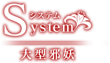 System システム｜大型邪妖