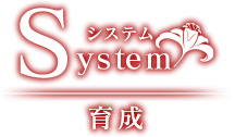 System システム｜育成
